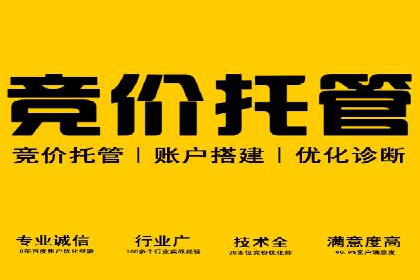 精准投放：SEM推广的技巧与案例